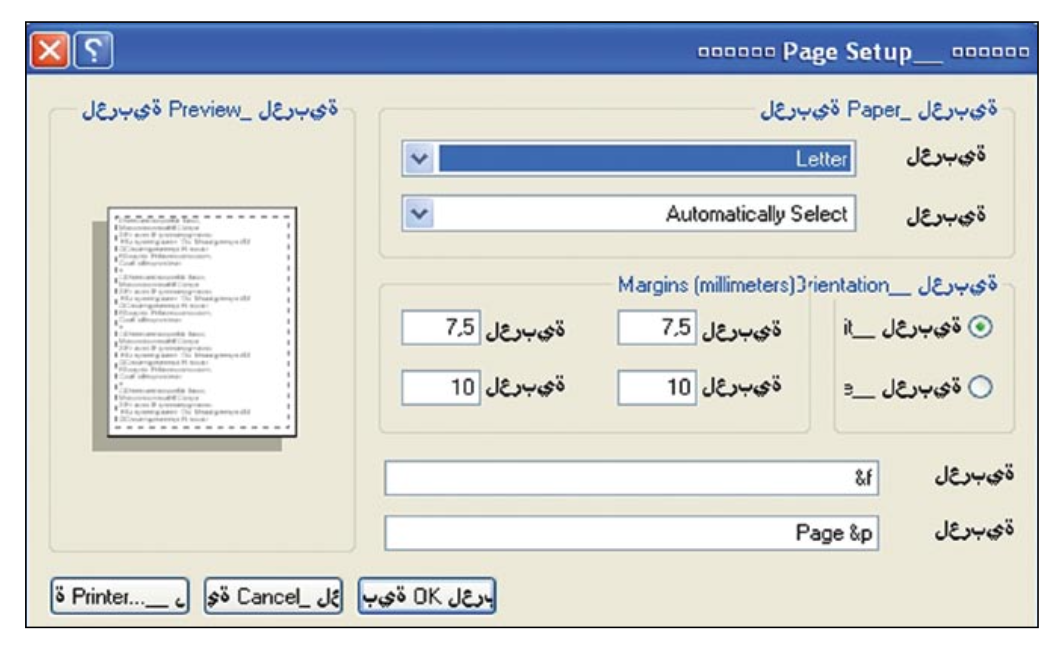 An example of a pseudo-localized dialog box
